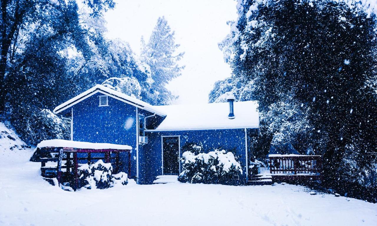 New! Cozy & Secluded House W/Deck - Near Yosemite! Villa Tuolumne Exterior photo